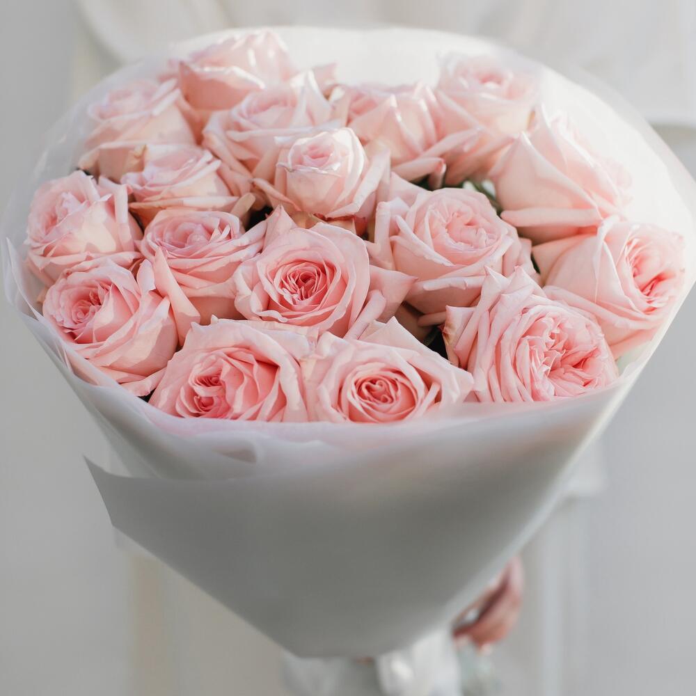 Blush Elegance
