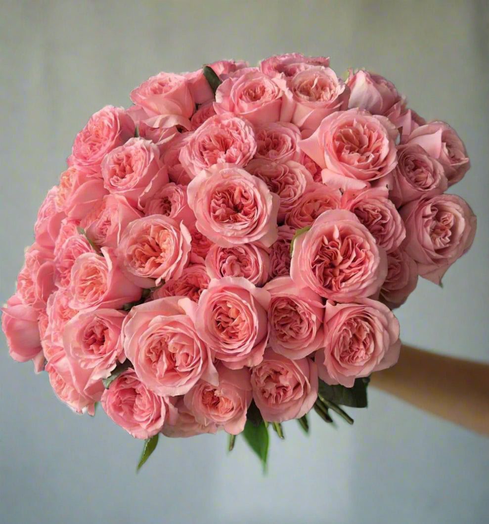 Pink Reverie