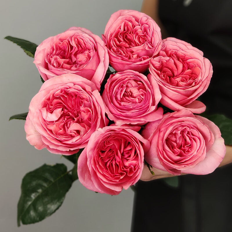 Pink Reverie