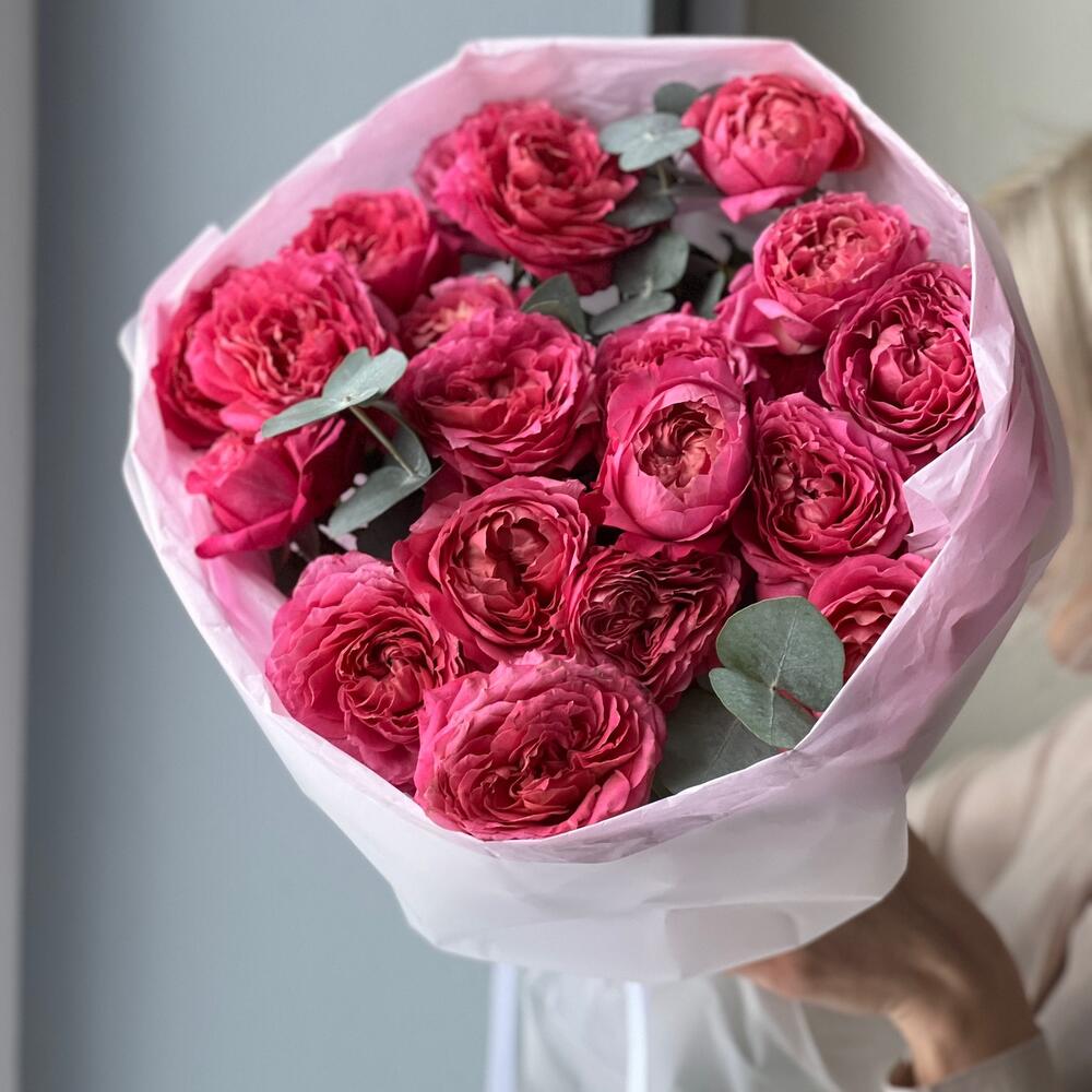 Cerise Delight