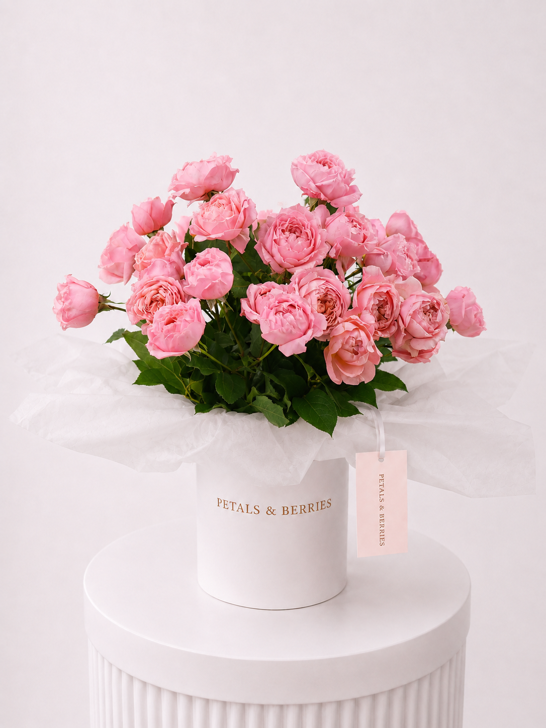 Blush No. 2