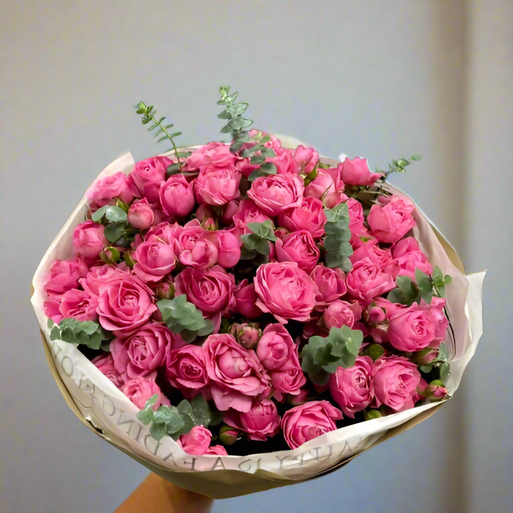 Cerise Delight