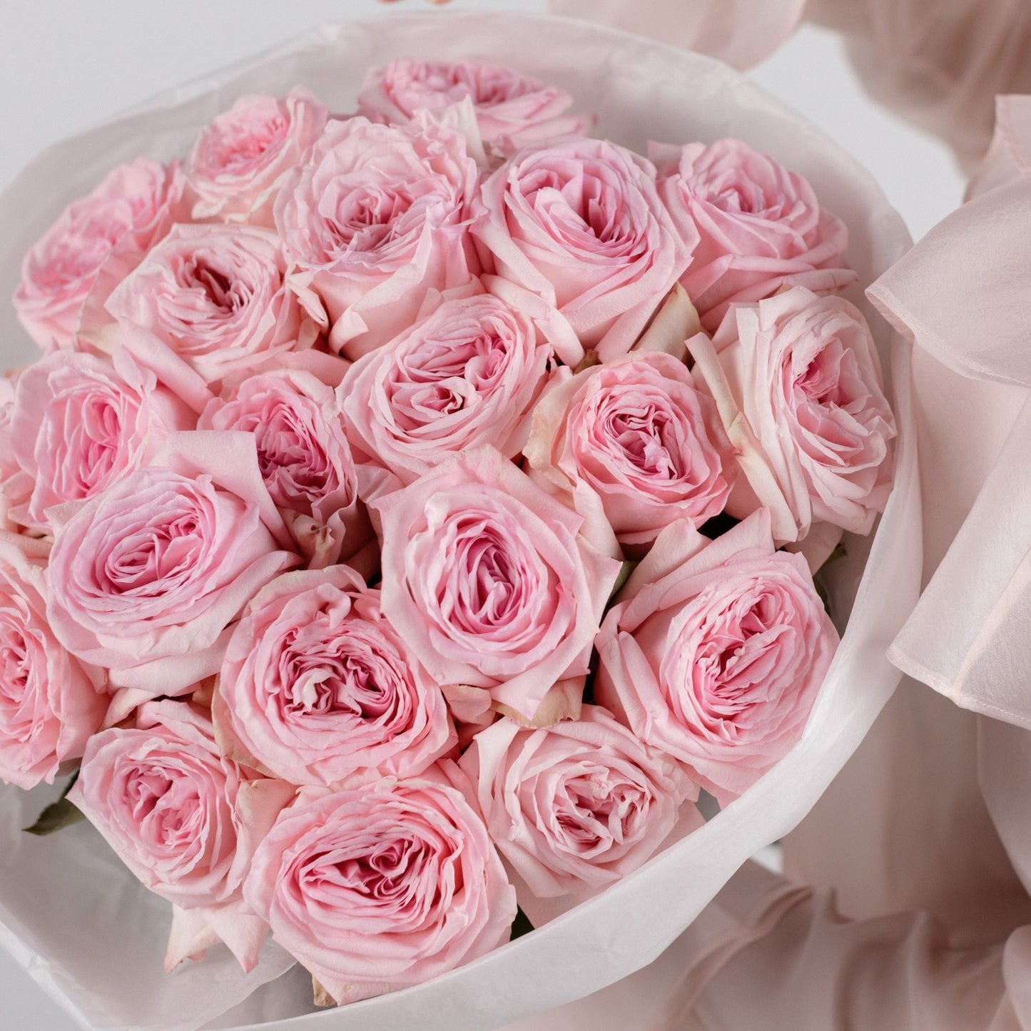 Blush Elegance