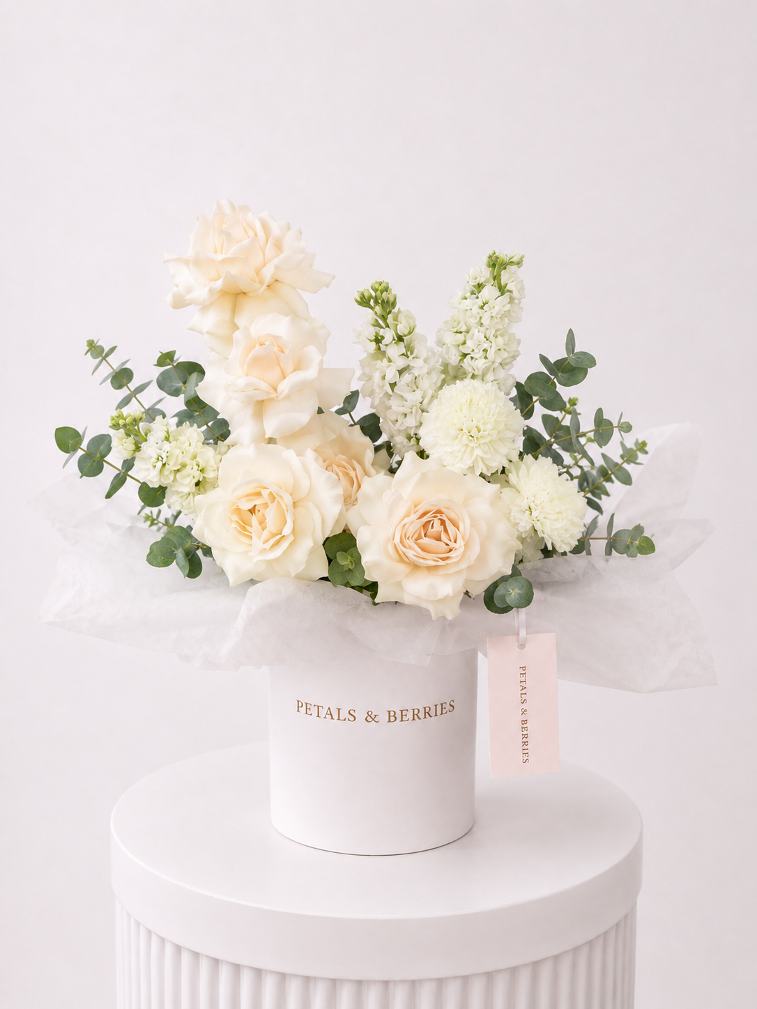 Porcelain Grace - Deluxe Box