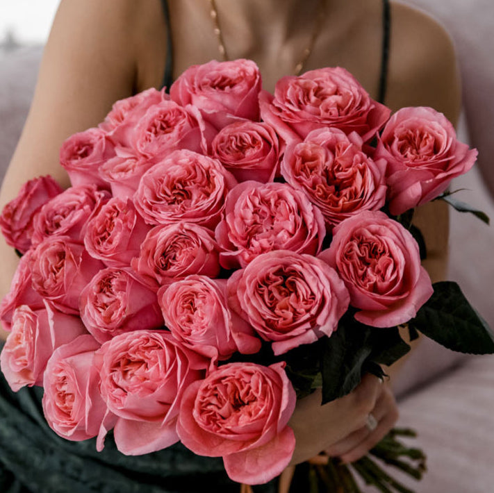Pink Reverie