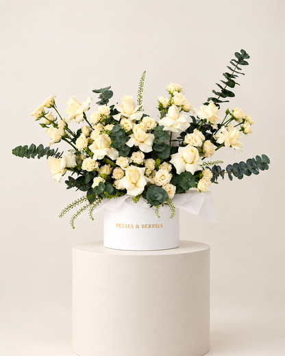 Blanc Grande Box