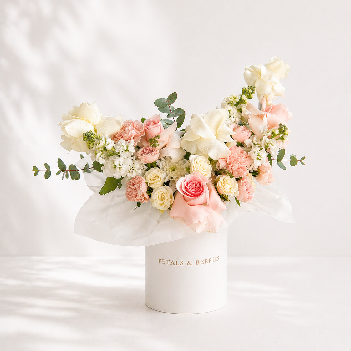 Ballerina - Deluxe Box
