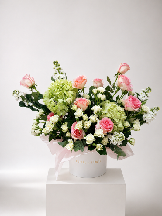 Spring Poise Box