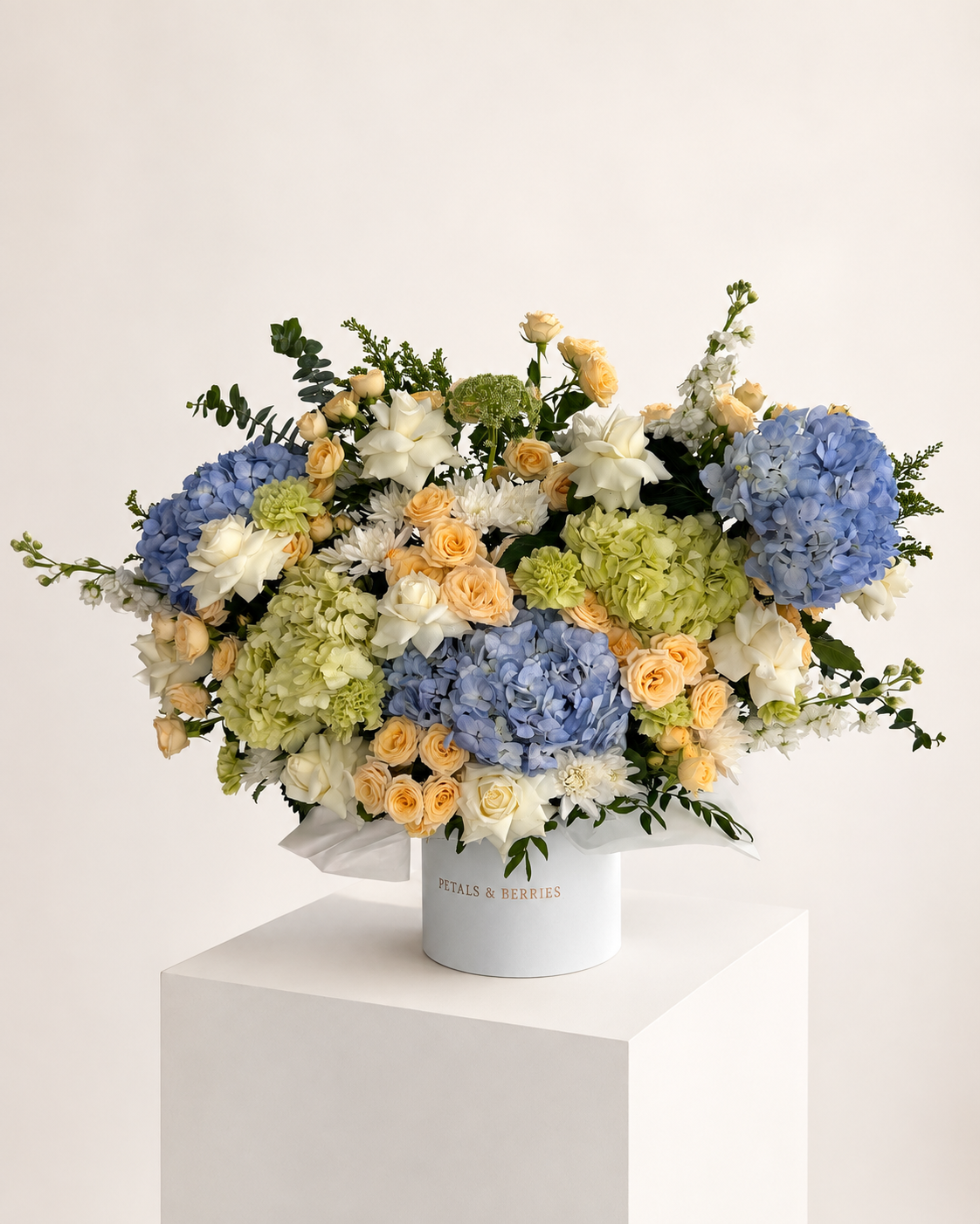 Como Reverie — Statement Box