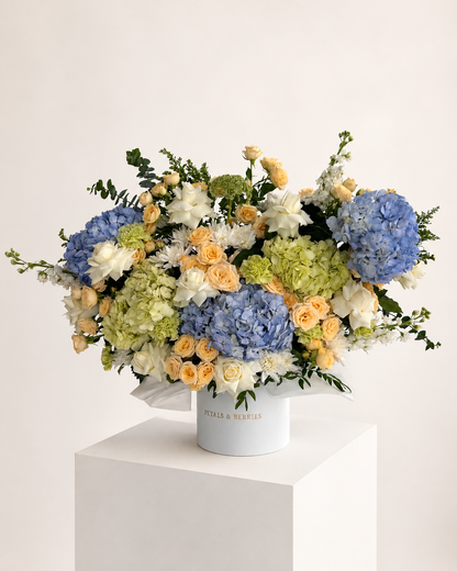 Como Reverie — Statement Box