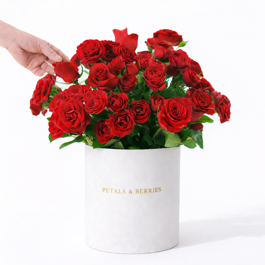 Deluxe Rouge Box