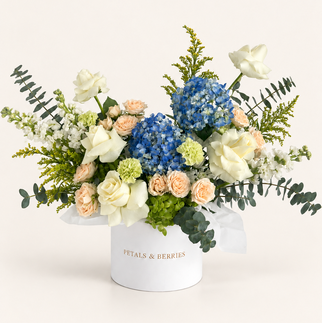 Capri Morning - Grande Box