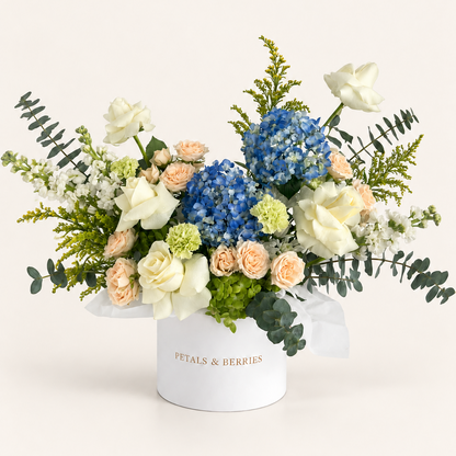 Capri Morning - Grande Box