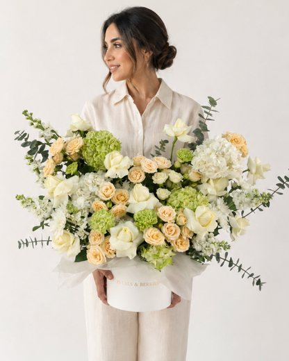 Champagne Botanica - Statement Box