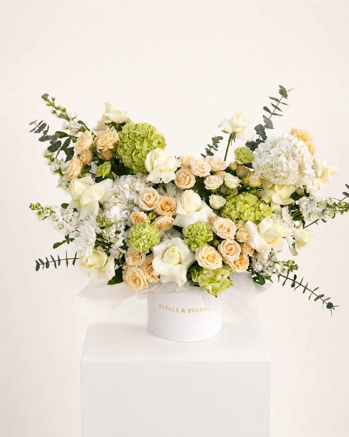 Champagne Botanica - Statement Box