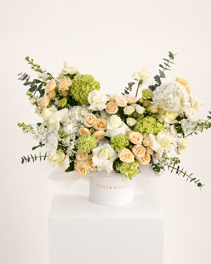 Champagne Botanica - Statement Box