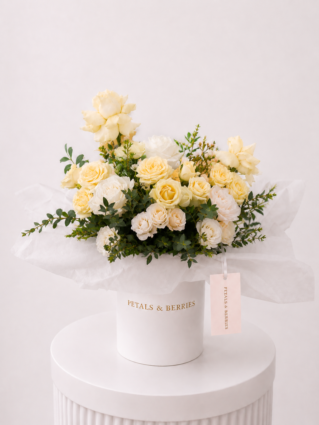 Vanilla Veil - Deluxe Box
