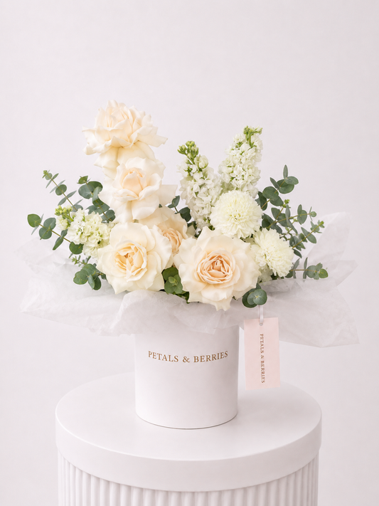 Porcelain Grace - Deluxe Box