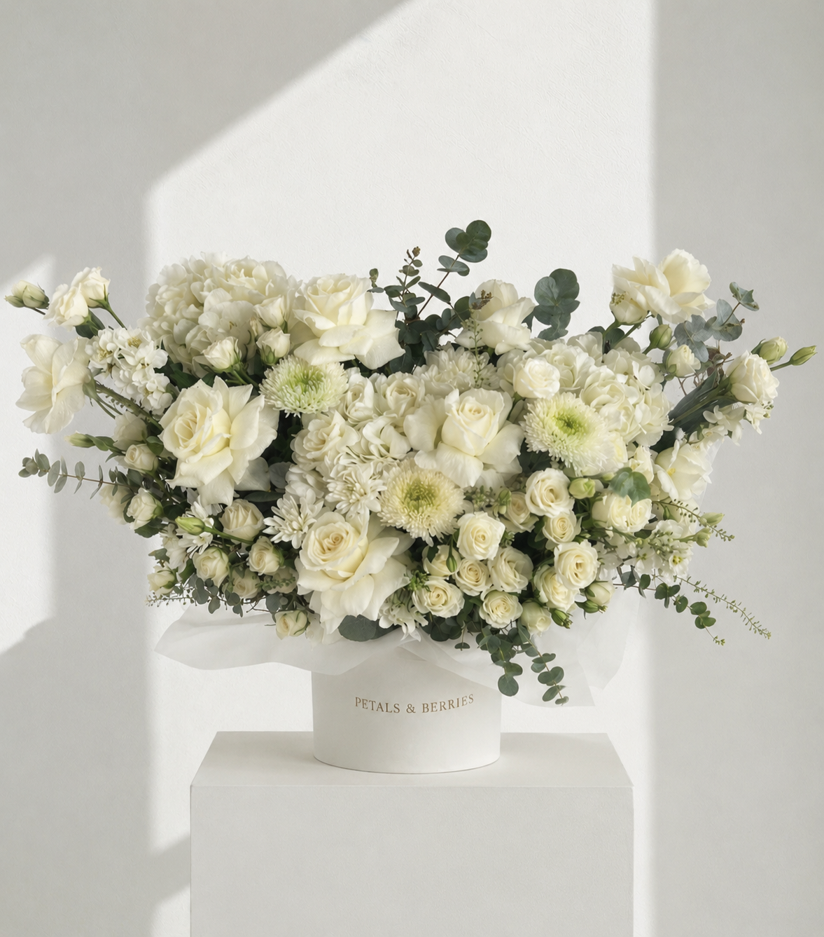 Ivory Grandeur – Statement Box