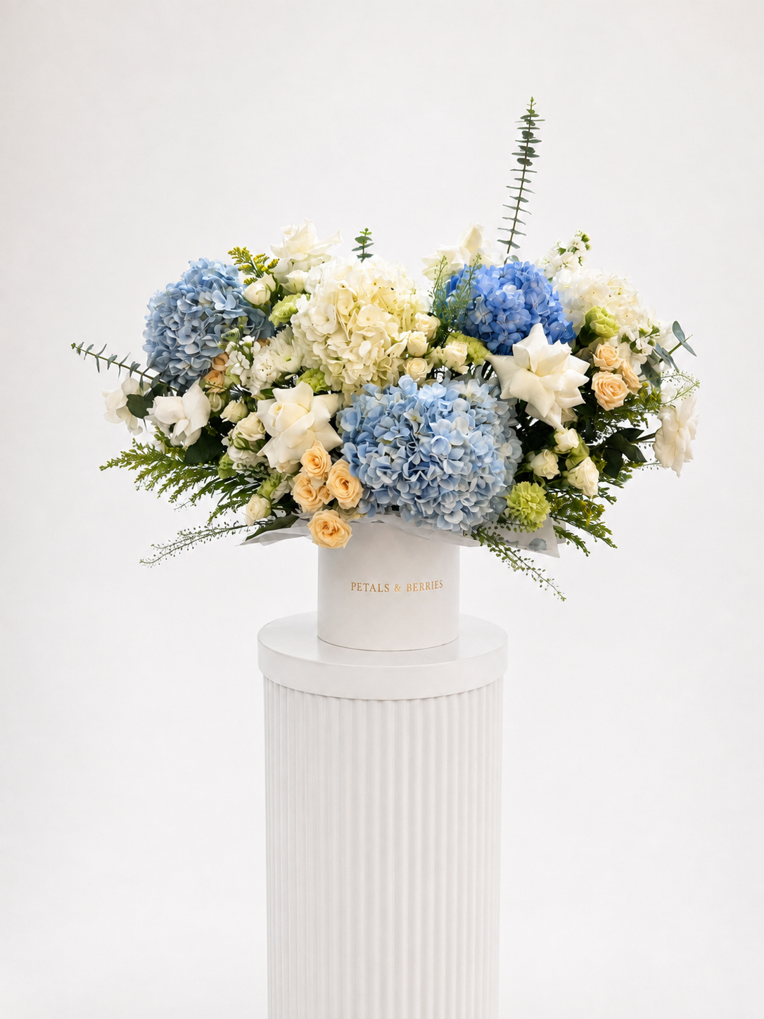 Blue Ivory— Statement Box
