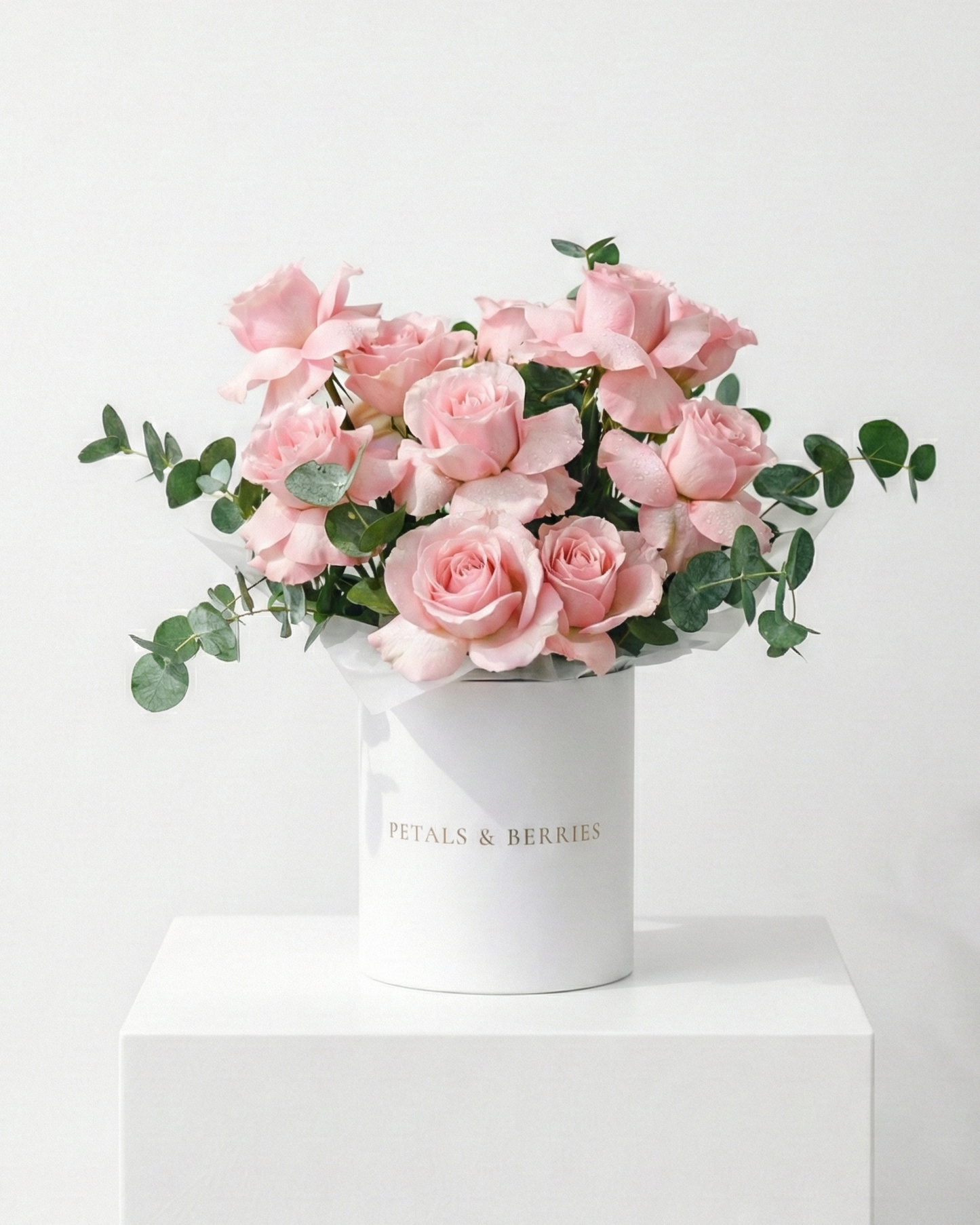Blush No. 1