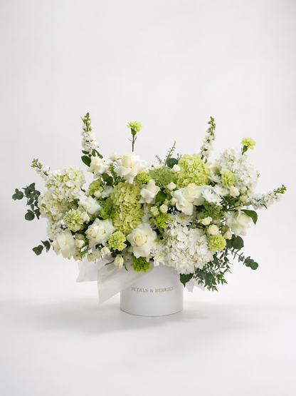 Capri Bianca. – Statement Box