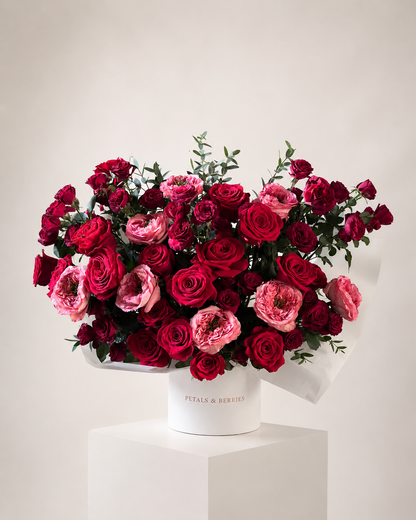 Haute Romance