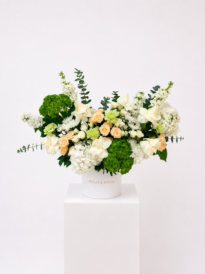 Verde — Garden Box
